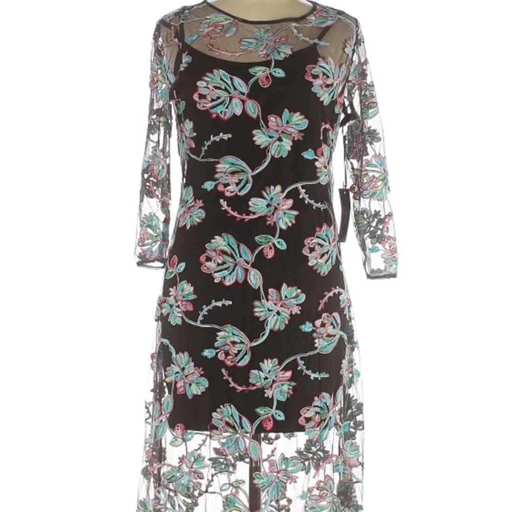 Lulu's long gown, embroidered overlay w black min